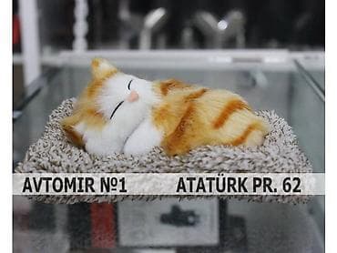 3D panellər: Dekorativ panel ortuyu pisik 🚙🚒 ünvana və bölgələrə ödənişli — 1