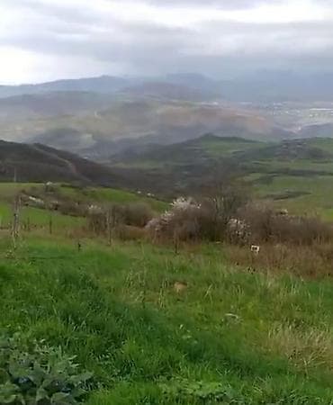 ev alqi satqisi zabrat 1: 6 sot, Tikinti, Mülkiyyətçi, Kupça (Çıxarış) — 2