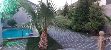 ev certiyojları: 130 kv. m, 3 otaqlı, Qaz, İşıq, Su — 11