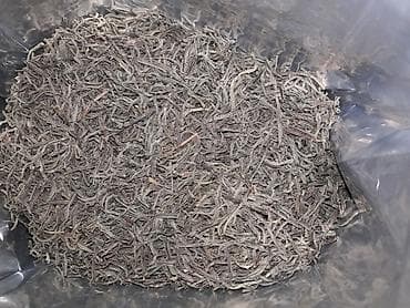 bildirçin yumurtası qiyməti: Salam.lenkeranin( ince) çayi yalniz bizde bu çay lenkeranin en — 5