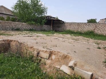 masallı torpaq: Tikinti, Bələdiyyə — 8