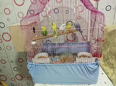 Tutuquşu qəfəsi və aksesuarları dəsti - Rəng: çəhrayı metal qəfəs -