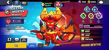Brawl Stars hesabı – üst səviyyə və tam hazırlanmış - Kupa: 110118 — 3