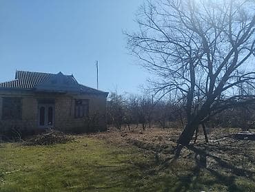 laçın şəhəri: 29sot - Tikinti: qalın çay daşı divarlar, möhkəm bünövrə - Plan — 4