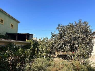 gence makler: Saray, 6 otaqlı, Yeni tikili, 240 kv. m — 17