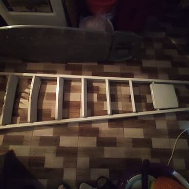 Plintuslar: Təcili satılır. 2 metrə hündürlüyündə qalın dəmirdən nərdivan . Ev — 2