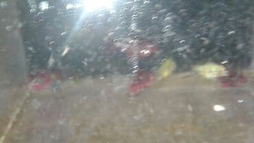 продажа аквариумных рыбок: Хищные, Самовывоз — 3