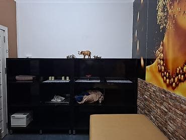 Kuşetkalar: İşlənmiş, Masaj kuşetkası — 2