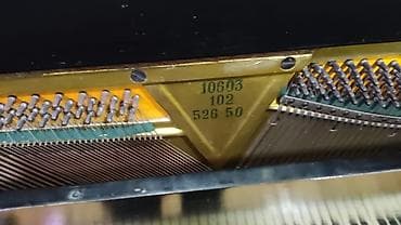 belarus pianino: Piano, Belarus, Akustik — 4