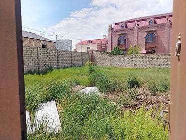 su bacok: Tikinti — 5