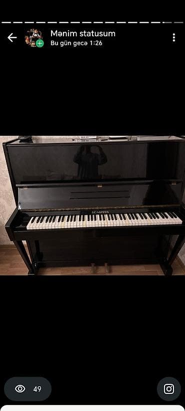 İdman və hobbi: Piano, Belarus, Akustik — 2