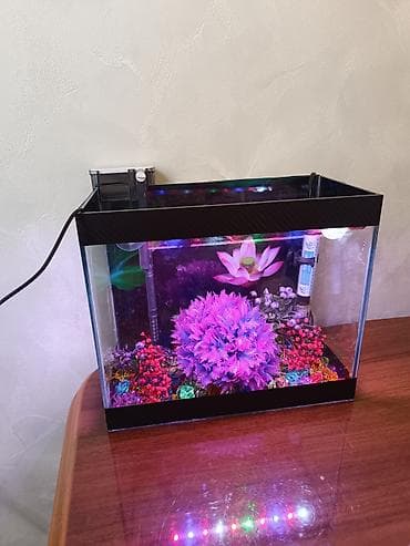 Akvariumlar: 11 litr akvaryum boş 12 mana
tam dolu 35 man — 3