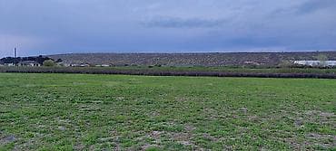 kiraye hovuzlu evler: 200 sot, Kənd təsərrüfatı — 8