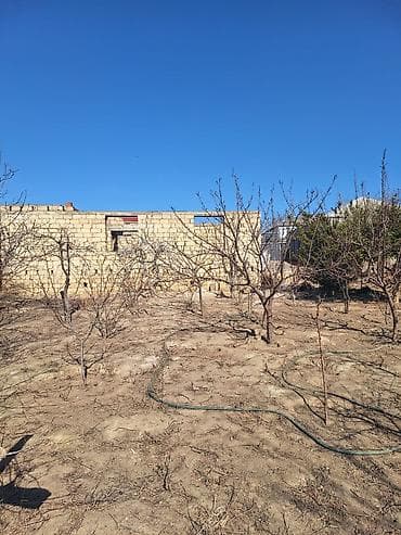 bine qesebesinde: Kənd təsərrüfatı — 4