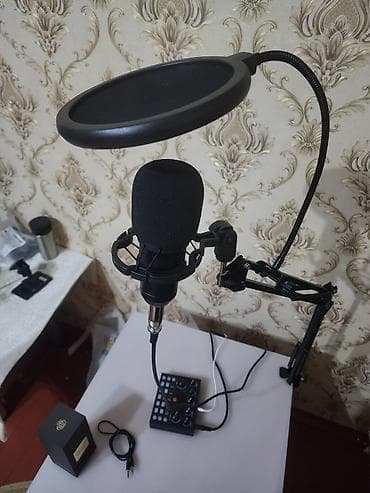 Tiktokda canlı yayın və Studiyo mikrofon dəsti – stolüstü qolla və səs