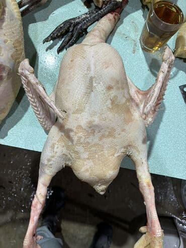 Meyvə və giləmeyvə: Məhsul: Təmizlənmiş Qaz əti Kq Təsvir: - Tam soyulmuş və içi — 1