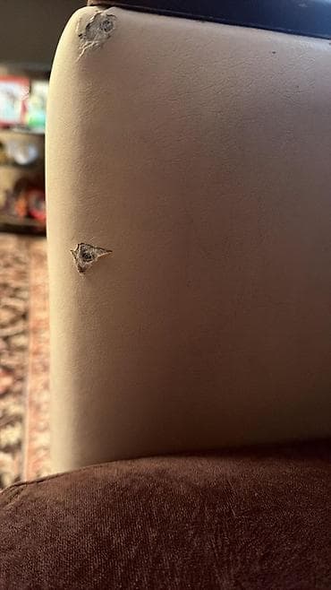 divan alan: Künc divan, Parça — 6