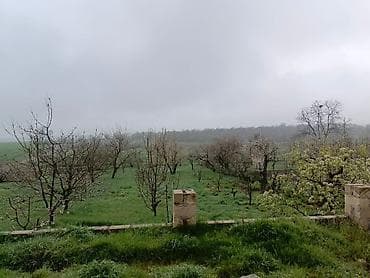 qubada kiraye evler: Quba, 221 kv. m, 8 otaq, Hovuzsuz, İşıq — 8