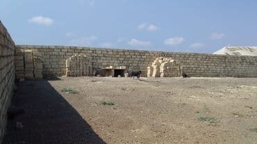 5 sot, Kənd təsərrüfatı, Mülkiyyətçi, Kupça (Çıxarış)