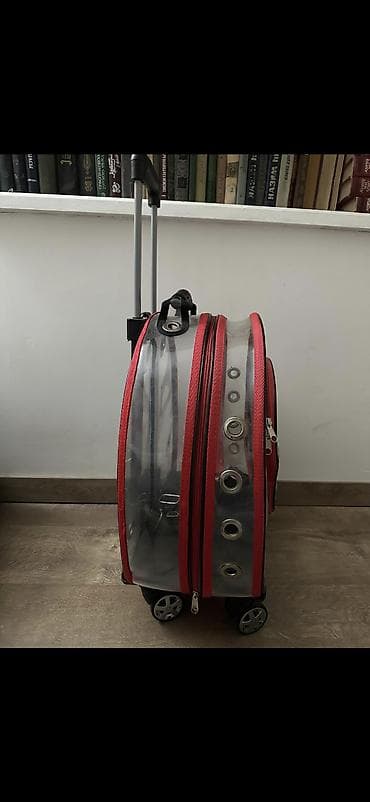 col dovsani satilir: MIGNO+ şəffaf təkərli ev heyvanı daşıma çantası/samokat tipli daşıyıcı — 4