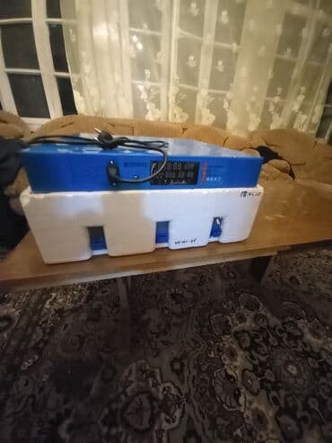 услуги инкубатора в бишкеке: Для всех видов птиц — 6