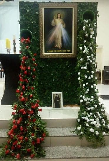 plastik setka qapi: Ev ofis restoran ve s yerlerin suni gul dekor iwleri 1 kv - 130 azn — 1