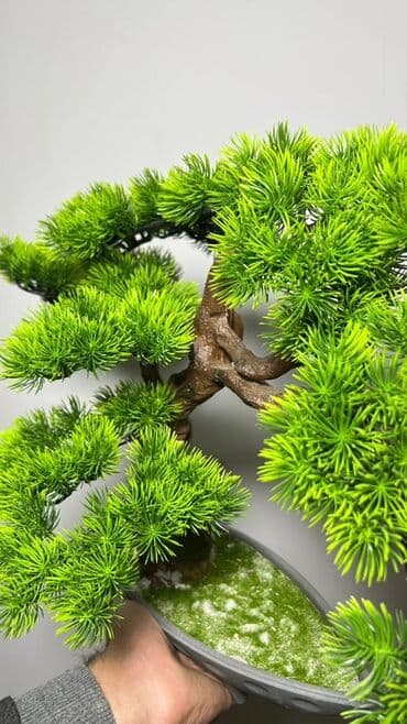budda: Süni bonsai ağacı – dekorativ içməkan yaşıllaşdırma üçün - Realistik — 26