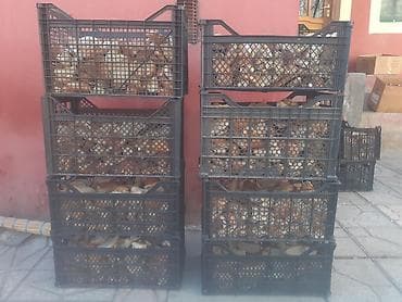 pişik yemi qiyməti: Guru corek 50 kilolug yem kisesinde. 4 azn. xirdalan icra — 7