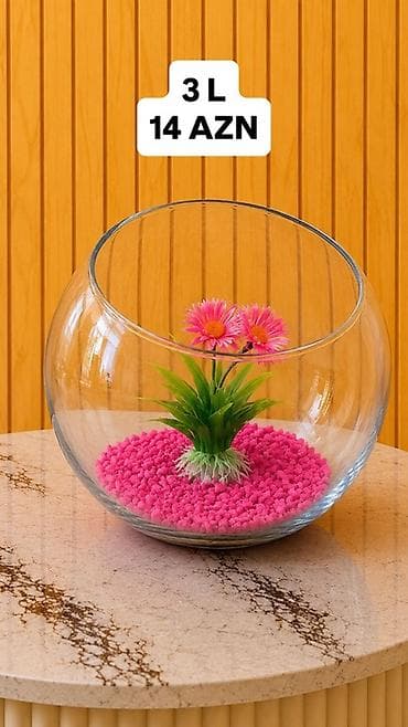 sobo wp 6001: Yumru akvarium, Boş, 3 l, Ünvandan götürmə, Pulsuz çatdırılma, Ödənişli çatdırılma — 2