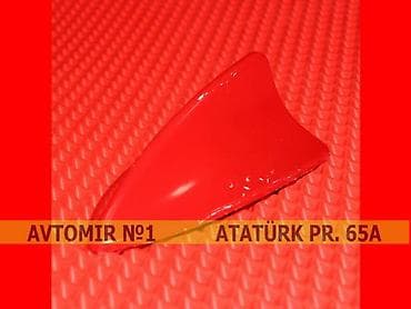 reklam çap: Dekorativ antenna qirmizi 🚙🚒 ünvana və bölgələrə ödənişli çatdırılma — 1