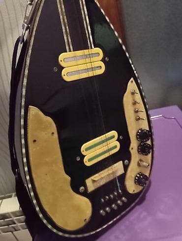 korg pa 5x pro: Elektrikləşdirilmiş saz – unikal hibrid musiqi aləti - Korpus: armud — 4