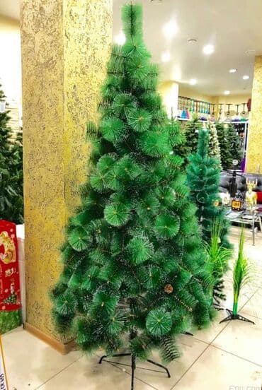 sam agaci: Yolka satisi teze mallar endirimde Yeni il agaci 35 man 120 sm 50 man — 2