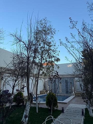 qoltuq ağacı: Ekalipt ağacı – həyət/bağ üçün dekorativ və ətirli ağac - Növ — 2