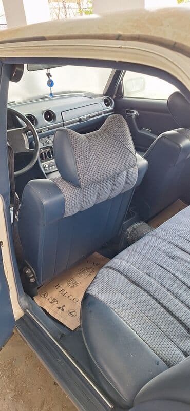 yeşqa mersedes: Mercedes-Benz 250: 2.5 l | 1981 il Sedan — 16
