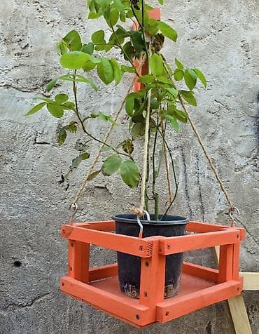 Asma gül qabı üçün taxta daraq tipli səbət - Material: keyfiyyətli