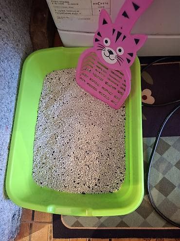 it evlerinin satisi: Məhsul: Pişik aksesuarları dəsti hamisi 15m qum istifade olunmuyub — 2