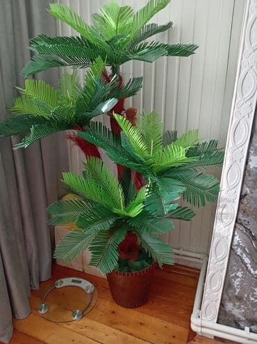 rozmarin bitkisi qiymeti: Dekorativ süni palma ağacı - Material: plastik yarpaqlar, süni lifli — 1