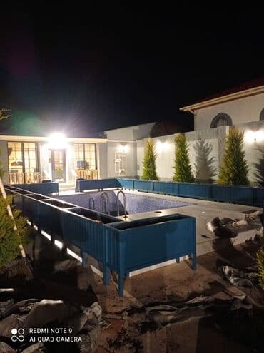 otaq bitkisi: Dibçək güldanlar. Dipçəklər bir başa sexdən.Sex qiymətinə. ♦️Endrim — 7