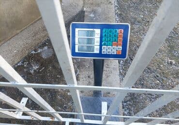 Оборудование для магазинов: Электронные — 2