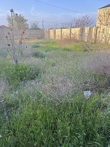 cıdır düzü: 5 sot, Tikinti, Barter mümkündür, Bələdiyyə — 3