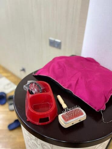 pişik cantasi: Daşıma çantaları — 2