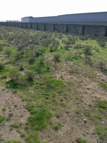 купить квартиру в баку новостройка: 37 соток, Для сельского хозяйства, Купчая — 2