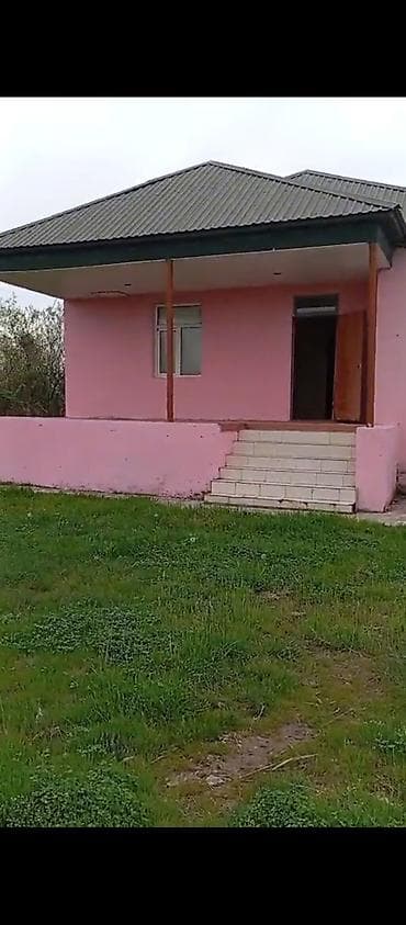 kristalda satilan evler: Saatlı rayonu Musali kəndində Həyat evi Saatlı ucuz qiymətə 1hektarin — 3