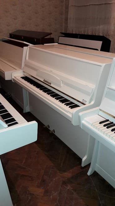 terlan elekberov: Pianino ZİMMERMANN Almaniya stehsalı. Cadırılma və köklənmə pulsuzdu — 2