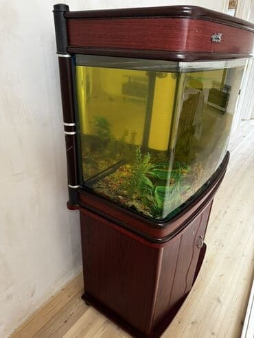 sperma faizini artıran bitkiler: Boş, 200 l, Ünvandan götürmə — 2