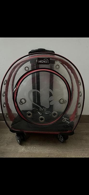 MIGNO+ şəffaf təkərli ev heyvanı daşıma çantası/samokat tipli daşıyıcı