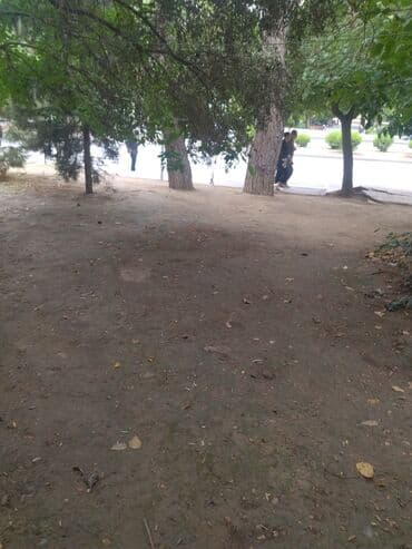 объекты в баку купить: Salam. Abyek icarəyə verilir. yol kənarı 2 otaqlı su işıq qaz daimi — 3