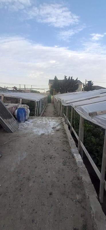 qapi: Istixana kompleksi və bağ sahəsi - Daş hasarla çevrili ərazi, metal — 3