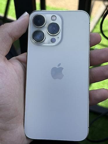 pro gainer: IPhone 13 Pro, Gümüşü — 1