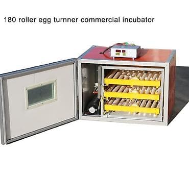 Inkubator inqibator inkibator inqubator Sənaye tipli inkubatorlar 256 — 2